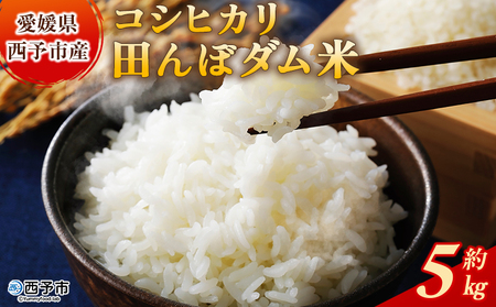 新米[令和7年産 愛媛県西予市産 コシヒカリ 田んぼダム米 5kg] 5キロ こしひかり 西予応援米 宇和 お米 コメ こめ 白米 精米 国産 愛媛県 宇和町 和みファーム 愛媛県 西予市[常温]『2025年10月・11月頃から順次発送予定』UWN0001