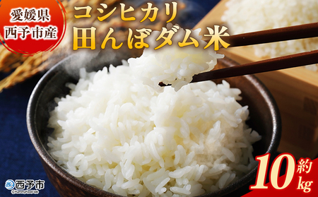 新米[令和7年産 愛媛県西予市産 コシヒカリ 田んぼダム米 10kg] 10キロ こしひかり 西予応援米 宇和 お米 コメ こめ 白米 精米 国産 愛媛県 宇和町 和みファーム 愛媛県 西予市[常温]『2025年10月・11月頃から順次発送予定』UWN0002