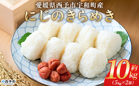 [にじのきらめき 約10kg(5kg×2袋)] 10キロ ニジノキラメキ 米 お米 コメ こめ 白米 精米 ご飯 ライス 大粒 穀物 西予応援米 特産品 愛媛県産 西予市産 宇和町 前田農園 愛媛県 西予市 [常温]『2025年10月から12月迄に順次出荷予定』UMU0002