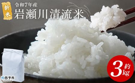 [令和7年産 新米 岩瀬川清流米 コシヒカリ 3kg] 3キロ こしひかり お米 コメ こめ 白米 精米 ご飯 穀物 鮮度 特産品 愛媛県産 西予市 宇和町 OTSUKAFARM 愛媛県 西予市 [常温]『2025年9月下旬から順次出荷予定』UOF0001