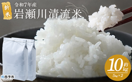 [令和7年産 新米 岩瀬川清流米 コシヒカリ 10kg] 10キロ こしひかり お米 コメ こめ 白米 精米 ご飯 穀物 鮮度 特産品 愛媛県産 西予市 宇和町 OTSUKAFARM 愛媛県 西予市 [常温]『2025年9月下旬から順次出荷予定』UOF0003