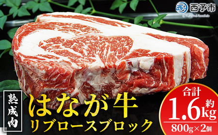 n ͂Ȃu[XubN1.6kgi800g×2j  Xe[L SĂ Ă Y  ܂ ~ ӂ o[xL[ BBQ Lv AEghA Yi 䂤ڂ Q