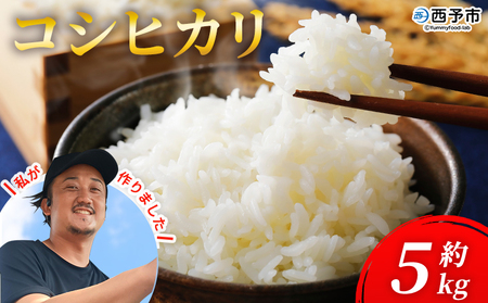 新米[令和7年産 愛媛県西予市産 コシヒカリ 5kg] 5キロ こしひかり 国産 宇和米 お米 コメ ライス こめ ごはん 白米 精米 米 西予応援 愛媛県産 宇和町 KAZUファーム 愛媛県 西予市[常温]『2025年10月〜12月に順次発送予定』UKF0001