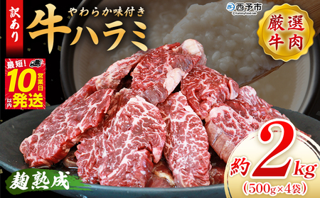 nŎ|݈I炩t n~ 2kgi500g×4j 󂠂 ͂ n~ Ԑg e   ē BBQ t  RXp  Vs   y  ȒP O 