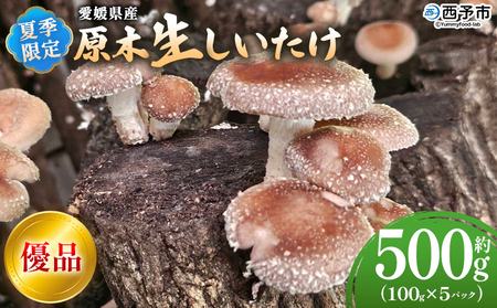 ＜夏季限定 原木生しいたけ（優品） 100g×5パック＞『2026年5月～10月に順次出荷予定』 合計500g 数量限定 期間限定 夏採れ 原木生椎茸 しいたけ シイタケ きのこ 優品 バーベキュー BBQ 料理 国産 愛媛県産 横林自治振興協議会 愛媛県 西予市【冷蔵】 NYJ0007