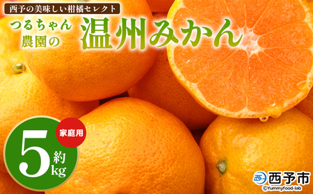 [西予の美味しい柑橘セレクト(ご家庭用)/つるちゃん農園のみかん(約5kg)] 果物 くだもの フルーツ 蜜柑 みかん ミカン 柑橘 ご家庭用 温州みかん 食べて応援 国産 愛媛県産 特産品 西予倶楽部 愛媛県 西予市『11月頃から1月頃までに順次出荷予定』[常温]OMC0007