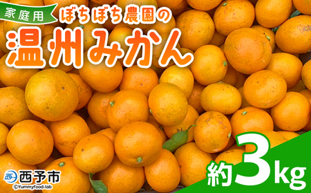 [ぼちぼち農園の温州みかん 家庭用 3kg] 3キロ うんしゅうみかん 温州ミカン 訳あり わけあり ワケアリ 果物 みかん ミカン 柑橘 フルーツ 国産 特産品 ぼちぼち農園 愛媛県 西予市[常温]『2025年11月〜12月迄に順次出荷予定』ABB0001