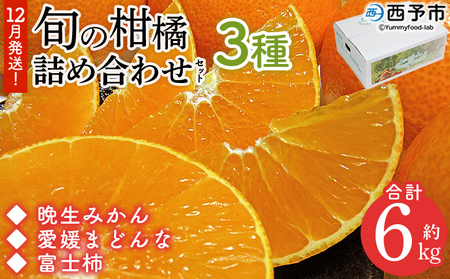 [12月発送!旬の柑橘 詰め合わせセット 3種×各2kg] 果物 フルーツ みかん ミカン 蜜柑 柑橘 オレンジ マドンナ 晩生みかん 愛媛まどんな 富士柿 かき 特産品 宇都宮物産 愛媛県 西予市[常温]『12月に順次出荷予定』UUB0078