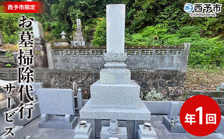 [お墓掃除 代行サービス(年1回)] 2基 墓所 墓石 お掃除 清掃 代理 代行 お手入れ お供え 供養 クリーン 花立 線香台 水鉢 雑草取り お墓参り お手入れ 徳山石材 愛媛県 西予市