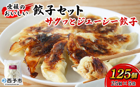 [愛媛のおいしい餃子セット サクッとジューシー餃子 125個(25個×5袋)]ぎょうざ ギョーザ 餃子 国産 ジューシー パリッ 国産野菜 ブランド豚 鍋 浅野食品 愛媛県 西予市[冷凍]『1か月以内に順次出荷予定』OAH0002