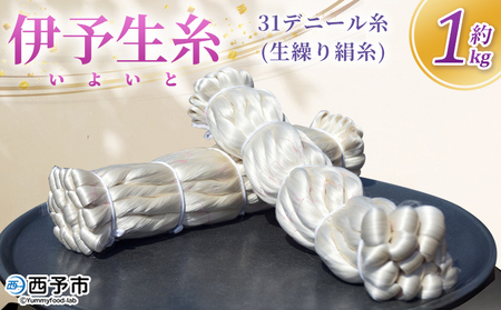 [伊予生糸(31デニール糸)約1kg] 国産 伊予生糸 いよいと 国産 西予産 GI登録 絹糸 白 日本製 生繰り式 繭使用 友禅染め 染色 手織り 組紐 糸 伝統工芸 愛媛県西予市蚕糸業振興協議会 西予市[常温]『1か月以内に順次出荷予定』NES0005