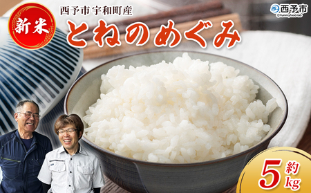 新米[令和7年産 とねのめぐみ 約5kg 西予市宇和町産] 5キロ 白米 精米 お米 コメ こめ 宇和米 新米 うわまい ご飯 ごはん ライス 送料無料 産地直送 加茂ファーム 愛媛県 西予市[常温]『2025年10月末頃より順次発送予定』UNK0001