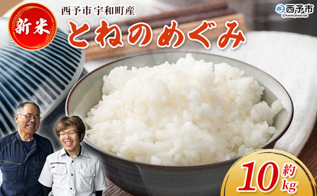 新米[令和7年産 とねのめぐみ 約10kg 西予市宇和町産] 10キロ 白米 精米 お米 コメ こめ 宇和米 新米 うわまい ご飯 ごはん ライス 送料無料 産地直送 加茂ファーム 愛媛県 西予市[常温]『2025年10月末頃より順次発送予定』UNK0002