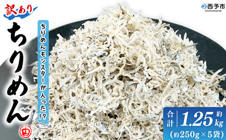 [ちりめんモンスターが入った!? 訳あり ちりめん 約1.25kg(250g×5袋)]ちりめんじゃこ 海鮮 海産物 丼 おにぎり 具材 ご飯 おつまみ おやつ 小魚 乾物 国産 マルヨシ水産 特産品 愛媛県 西予市[冷蔵]『1か月以内に順次出荷予定』AMS0024