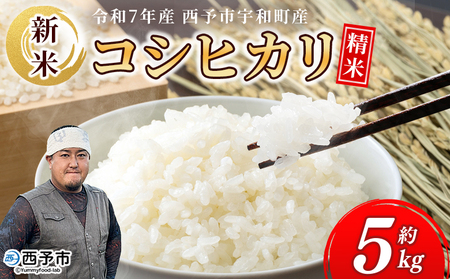 新米[令和7年産 コシヒカリ 5kg]国産 白米 精米 5キロ 愛媛県産 宇和町産 宇和米 うわまい こしひかり お米 コメ こめ ご飯 うわまい ライス 西予市 産地直送 送料無料 特産品 福井ファーム 愛媛県 西予市[常温]『2025年12月中旬から順次発送予定』UFF0001