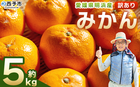 s\񁃖lY 󂠂 ݂ 5kg ʕ  t[c  ݂ ~J k PA ƒp Hׂĉ Y QY Yi UÔ_nwp[g Q \sy퉷z