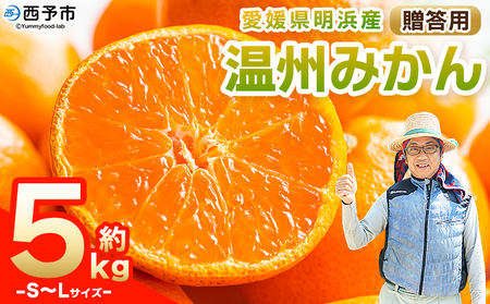 s\񁃖lY B݂ S`LTCY 5kg p ʕ  t[c  ݂ ~J k Mtg 񂵂イ݂ Hׂĉ Y QY Yi UÔ_nwp[g