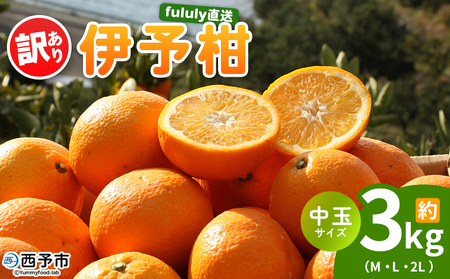 [fululy直送 伊予柑 訳あり 約3kg 中玉サイズ(M〜2L)] ワケアリ サイズ混合 中玉 果物 フルーツ 蜜柑 いよかん イヨカン 柑橘 家庭用 合同会社fululy 直送 愛媛県 西予市[常温]『2026年1月中旬〜2月上旬迄に順次出荷』
