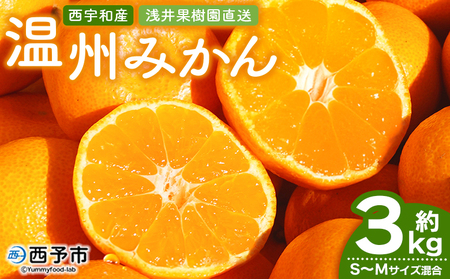 ��s�\�� �����ʎ��� ���B�݂��� ��3kg�i�승20���j�� �ʕ� ���k �t���[�c �~�J�� ���� �I�����W ���񂵂イ�݂��� �E���V���E�~�J�� �H�ׂĉ��� ���Y�i ���F�a ���Q�� ���\�s �y�퉷�z�w20