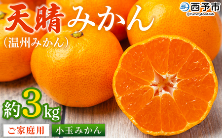 �����Q�����l�Y �V���݂���i���B�݂���j��3kg ���ʃT�C�Y�� �ƒ�p �󂠂� ���P�A�� �ʕ� �������� �t���[�c �~�J�� ���k ���Y�i �Ί� ���Q�� ���\�s�y�퉷�z�w2025�N11�����{�`2026�N1����