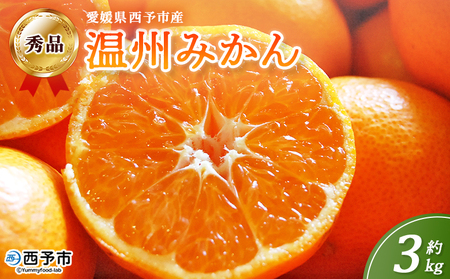 �����\�s�Y ���B�݂��� �G�i ��3kg�� ���� �~�J�� �݂��� �ʕ� �t���[�c ���k ���Y ���Q���Y �T�C�Y���܂��� 3�L�� ���񂵂イ�݂��� �E���V���E�~�J�� ���Y�i �ۓ�� ���Q�� ���\�s�y�퉷