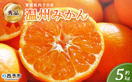 �����\�s�Y ���B�݂��� �G�i ��5kg�� ���� �~�J�� �݂��� �ʕ� �t���[�c ���k ���Y ���Q���Y �T�C�Y���܂��� 5�L�� ���񂵂イ�݂��� �E���V���E�~�J�� ���Y�i �ۓ�� ���Q�� ���\�s�y�퉷