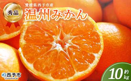 �����\�s�Y ���B�݂��� �G�i ��10kg�� ���� �~�J�� �݂��� �ʕ� �t���[�c ���k ���Y ���Q���Y �T�C�Y���܂��� 10�L�� ���񂵂イ�݂��� �E���V���E�~�J�� ���Y�i �ۓ�� ���Q�� ���\�s�y��