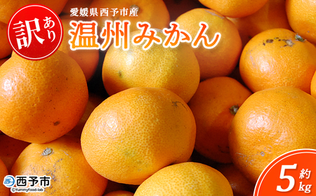 �����\�s�Y ���B�݂��� �󂠂� ��5kg�� ���� �~�J�� �ʕ� �t���[�c ���k ���Y ���Q���Y ���ƒ�p ����p �T�C�Y�s���� 5�L�� ���Y�i �ۓ�� ���Q�� ���\�s�y�퉷�z�w2025�N11���`2026�N1������