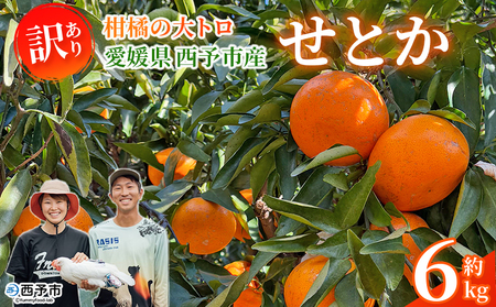 ���󂠂� ���Ƃ� ��6kg�� �Z�g�J �ƒ�p ����p ���k�̑�g�� �R�N �|�� ���� �Z���Â� 6�L�� �ʕ� �������� �t���[�c �݂��� �Z�� �������k ���Y ���Y�i �Ƃ肱�_�� ���Q�� ���\�s�y�퉷�z�w2