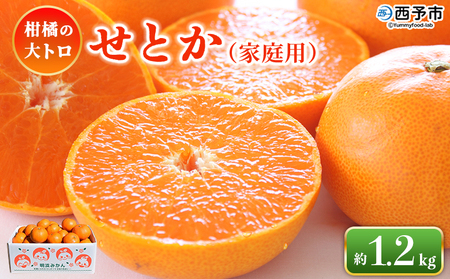 �����Ƃ��i�ƒ�p�j��1.2kg�� ����p �󂠂� ���P�A�� �ʕ� �������� �t���[�c �Z�g�J 1.2�L�� �������k ���k�̑�g�� ���k ���Y�i �Ί� ���Q�� ���\�s�y�퉷�z�w2026�N3����{�`3�����{�ɏ���