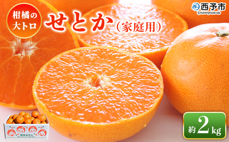 �����Ƃ��i�ƒ�p�j��2kg�� ����p �󂠂� ���P�A�� �ʕ� �������� �t���[�c �Z�g�J 2�L�� �������k ���k�̑�g�� ���k ���Y�i �Ί� ���Q�� ���\�s�y�퉷�z�w2026�N3����{�`3�����{�ɏ����o