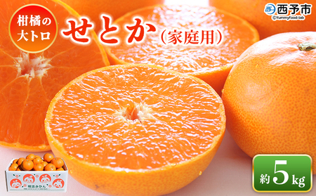 �����Ƃ��i�ƒ�p�j��5kg�� ����p �󂠂� ���P�A�� �ʕ� �������� �t���[�c �Z�g�J 5�L�� �������k ���k�̑�g�� ���k ���Y�i �Ί� ���Q�� ���\�s�y�퉷�z�w2026�N3����{�`3�����{�ɏ����o