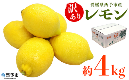 ＜愛媛県西予市産 訳あり レモン 約4kg＞ ワケアリ 家庭用 ご自宅用 4キロ れもん 檸檬 柑橘 果物 フルーツ 食べて応援 国産 不揃い 宇都宮物産【常温】『2025年12月中旬～2026年2月末迄に順次出荷予定』UUB0090