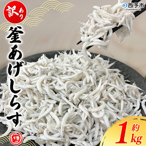 [訳あり 釜あげしらす 約1kg] 老舗網元 釜揚げ しらす シラス 海鮮 ちりめん 海産物 丼 おにぎり 具材 ご飯 おつまみ おやつ 小魚 国産 1キロ マルヨシ水産 特産品 愛媛県 西予市[冷凍]『1か月以内に順次出荷』AMS0019