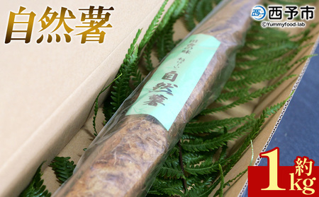 [自然薯 約1kg] 野菜 やさい 山芋 長芋 いも とろろ じねんじょ 国産 愛媛県産 とろろご飯 とろろ汁 料理 ノムランド 愛媛県 西予市[常温]『2026年1月中旬〜3月末迄に順次出荷予定』NNM0008