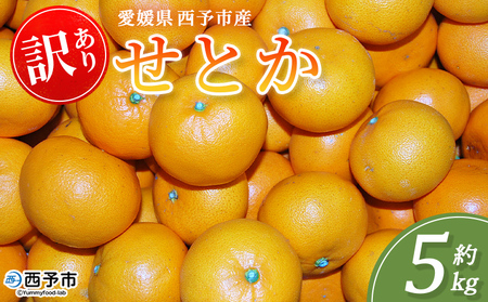 [訳あり せとか 約5kg]蜜柑 ミカン みかん 果物 フルーツ 柑橘 柑橘の女王 果汁 ジューシー 国産 愛媛県産 西予市産 ご家庭用 自宅用 訳アリ 高級 特産品 丸二青果 愛媛県 西予市[常温]『2026年2月頃に順次出荷予定』MMY0008