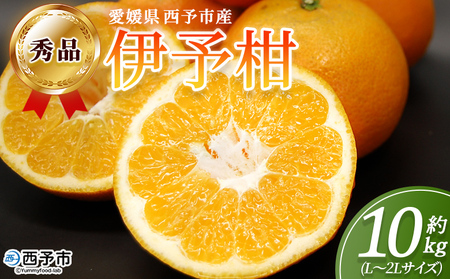 [秀品 伊予柑 (L〜2Lサイズ) 約10kg]蜜柑 ミカン みかん 果物 フルーツ 柑橘 いよかん 宮内伊予柑 西宇和 果汁 ジューシー 果肉 国産 愛媛県産 西予市産 ギフト 贈答用 特産品 丸二青果 愛媛県 西予市[常温]『2026年1月〜3月に順次出荷予定』MMY0012