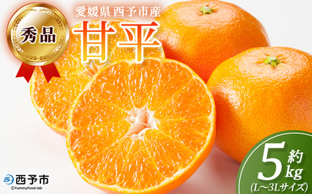 [秀品 甘平 (L〜3Lサイズ) 約5kg]蜜柑 ミカン みかん 果物 フルーツ 柑橘 かんぺい 果汁 ジューシー 果肉 国産 愛媛県産 西予市産 ギフト 贈答用 高級柑橘 特産品 丸二青果 愛媛県 西予市[常温]『2026年2月中旬〜3月中旬頃に順次出荷予定』MMY0014