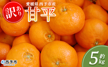 [訳あり 甘平 (サイズ混合) 約5kg]蜜柑 ミカン みかん 果物 フルーツ 柑橘 かんぺい 果汁 ジューシー 果肉 国産 愛媛県産 西予市産 ご家庭用 自宅用 訳アリ 高級柑橘 特産品 丸二青果 愛媛県 西予市[常温]『2026年2月中旬〜3月中旬頃に順次出荷予定』MMY0015