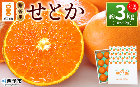 [せとか 約3kg 贈答用] 2〜3L 10〜12玉 柑橘 みかん ミカン 蜜柑 果物 くだもの フルーツ セトカ オレンジ 濃厚 薄皮 贈物 贈答 ギフト 国産 愛媛産 特産品 食べて応援 laugh印 井上農園 愛媛県 西予市[常温]『2026年3月上旬〜3月中旬迄に順次出荷予定』