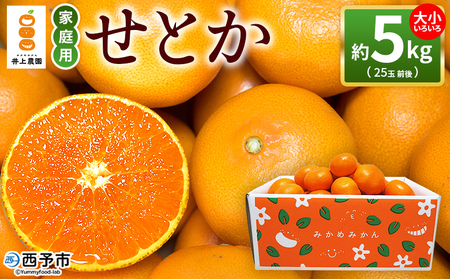[せとか 約5kg 家庭用] 訳あり 不揃い 25玉前後 お試し 柑橘 みかん ミカン 蜜柑 果物 くだもの フルーツ セトカ オレンジ 濃厚 薄皮 国産 愛媛産 特産品 食べて応援 laugh印 井上農園 愛媛県 西予市[常温]『2026年3月上旬〜3月中旬迄に順次出荷予定』