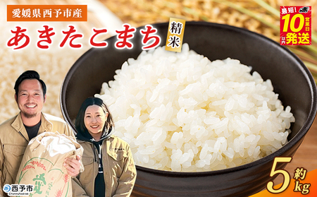 [令和7年産 西予市産 あきたこまち 精米 約5kg] お米 米 コメ こめ 白米 国産米 単一原料 ご飯 穀物 5キロ お弁当 おにぎり 特産品 愛媛県産 株式会社宇都宮米穀 愛媛県 西予市[常温]『最短10営業日以内に順次出荷予定』NKU0005
