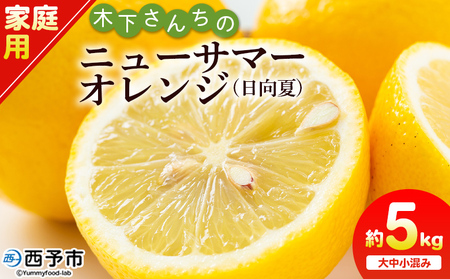 [木下さんちのニューサマーオレンジ 家庭用 約5kg(大中小サイズ混み)] 柑橘類 日向夏 ミカン 蜜柑 果物 くだもの フルーツ 国産 特産品 木下農園 愛媛県 西予市[常温]『2026年4月上旬〜5月上旬に順次出荷』MKS0009