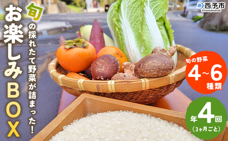 [旬の採れたて野菜が詰まったお楽しみBOX(3か月ごと年4回の定期便)] 西予市遊子川産 農家さん顔が見える野菜 定期便 食べて応援 特産品 遊子川ザ・リコピンズ 愛媛県 西予市[常温]『[1回目]毎月末日まで申込で翌月中旬より順次発送』SYR0009