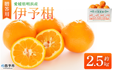 [伊予柑 贈答用 約2.5kg] ギフト いよかん イヨカン みかん 蜜柑 柑橘 果物 くだもの フルーツ ミカン 愛媛 国産 2.5キロ 果汁 ジューシー 明浜 特産品 笑丸 愛媛県 西予市[常温]『2026年1月下旬より順次出荷予定』AAN0071