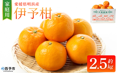[伊予柑 家庭用 約2.5kg]ご家庭用 いよかん イヨカン みかん 蜜柑 柑橘 訳あり 果物 くだもの フルーツ ミカン 愛媛 国産 2.5キロ ジューシー 明浜 特産品 笑丸 愛媛県 西予市[常温]『2026年1月下旬より順次出荷予定』AAN0073