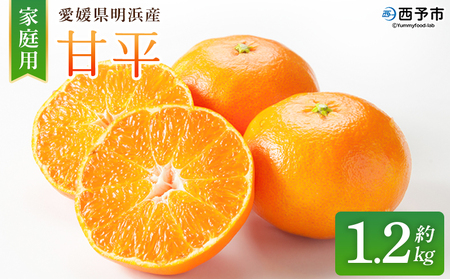 [甘平 家庭用 約1.2kg] ご家庭用 かんぺい 高級 柑橘 ブランド みかん 蜜柑 訳あり 果物 くだもの フルーツ ミカン 愛媛 国産 ジューシー 明浜 特産品 笑丸 愛媛県 西予市[常温]『2026年2月上旬より順次出荷予定』AAN0075