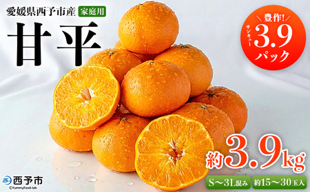 ＜愛媛県西予市産 甘平 家庭用 豊作 サンキューパック 約3.9kg＞ 訳あり ワケアリ かんぺい カンペイ 大粒果肉 甘み 柑橘 果物 フルーツ くだもの 国産 愛媛県産 サイズ不揃い 傷あり 食べて応援 宇都宮物産【常温】『2026年2月上旬～3月中旬迄に順次出荷』 UUB0092