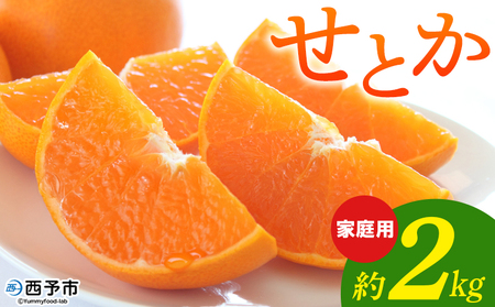 [せとか 家庭用 約2kg] 柑橘 みかん ミカン 蜜柑 果物 くだもの ジューシー 甘い なめらか フルーツ セトカ 訳あり ご自宅用 国産 大トロ 愛媛産 特産品 おれんじはーと 食べて応援 西宇和 愛媛県 西予市[常温]『2026年2月下旬〜3月上旬に順次出荷予定』