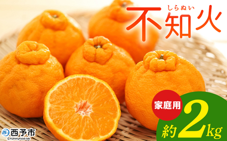 [不知火 家庭用 約2kg] 柑橘 みかん ミカン 蜜柑 果物 くだもの フルーツ しらぬい シラヌイ デコポン でこぽん 訳あり ご自宅用 国産 愛媛産 特産品 おれんじはーと 食べて応援 西宇和 愛媛県 西予市[常温]『2026年3月上旬〜3月下旬に順次出荷予定』